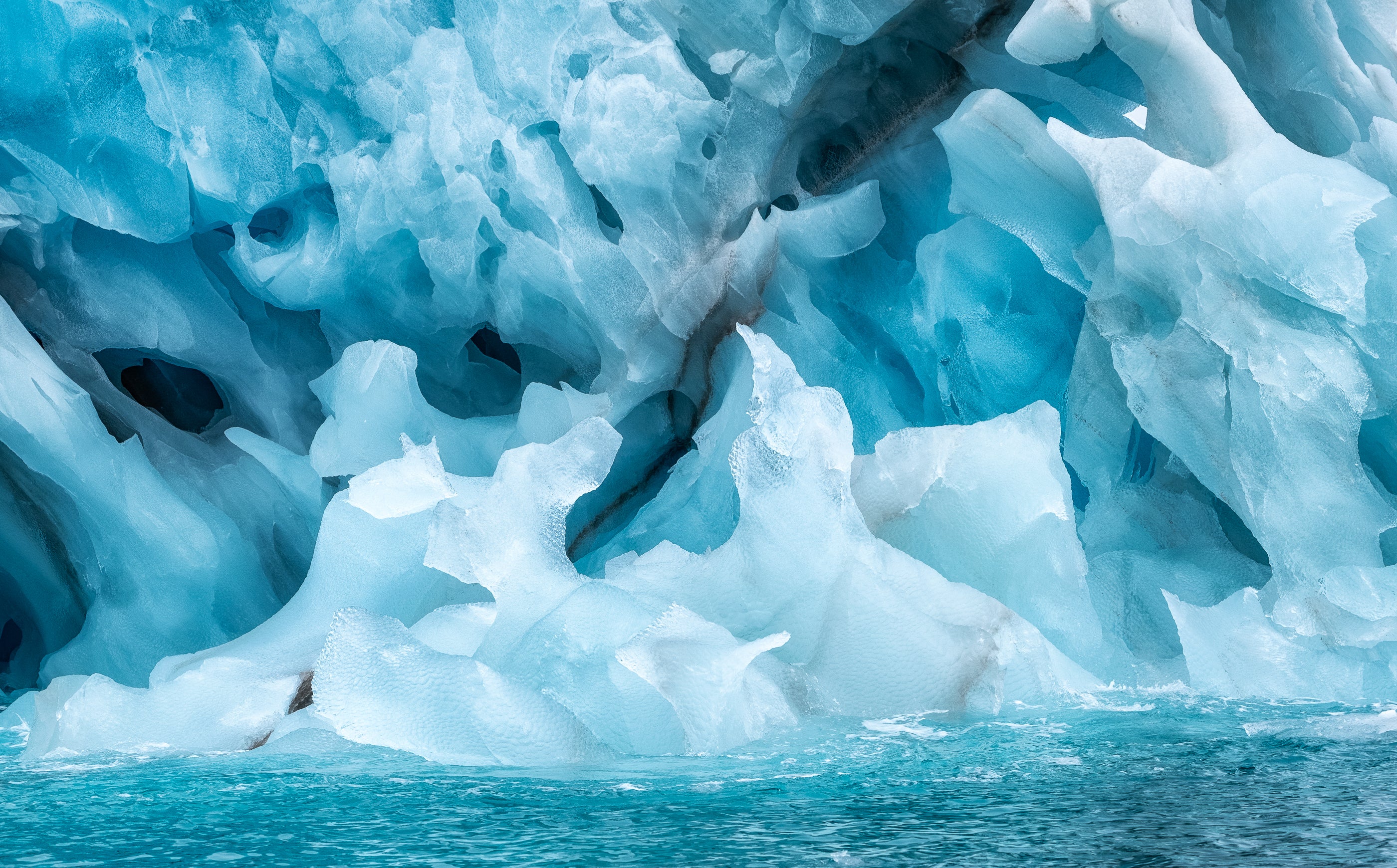 The Arctic Call • Svalbard Expedition