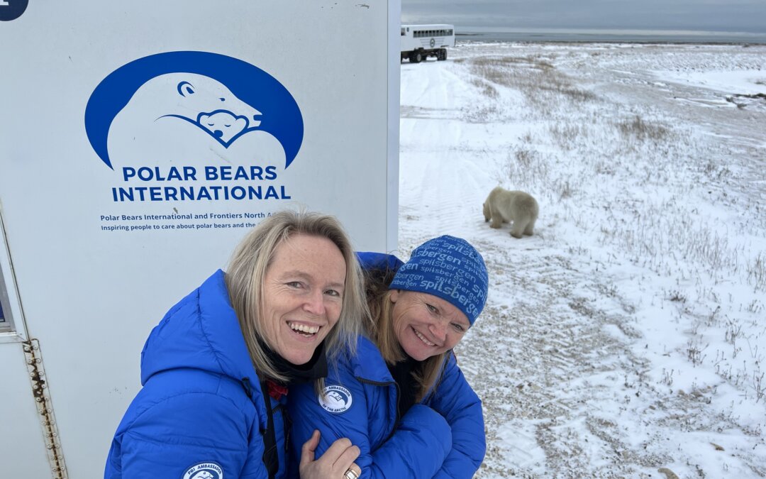 Partnership with Polar Bears International