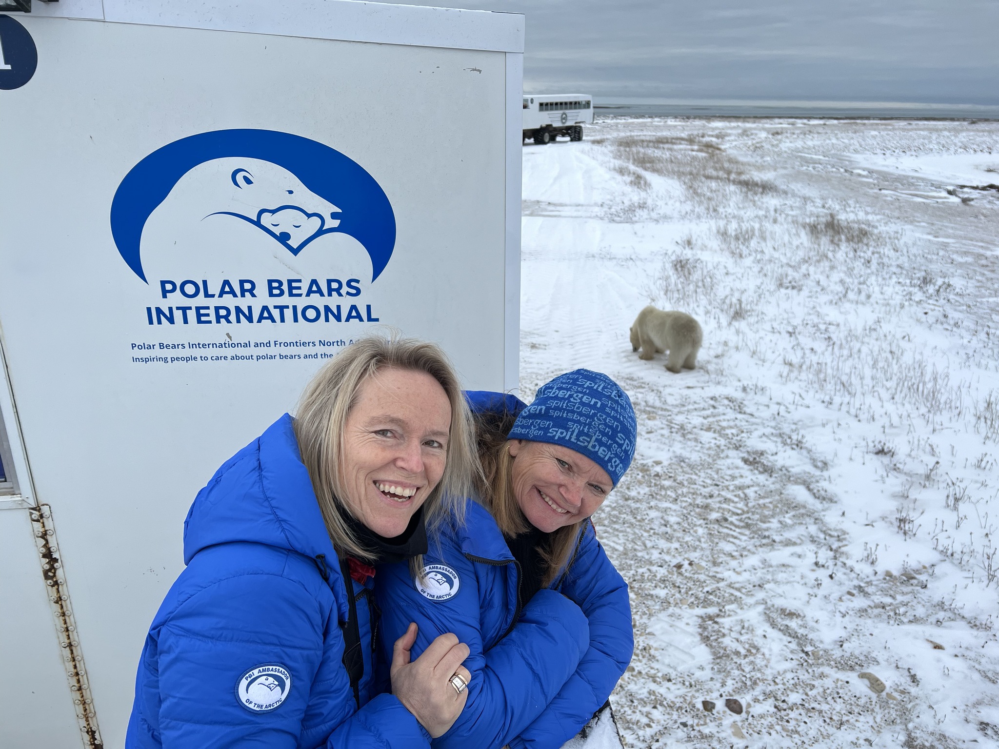 Partnership with Polar Bears International